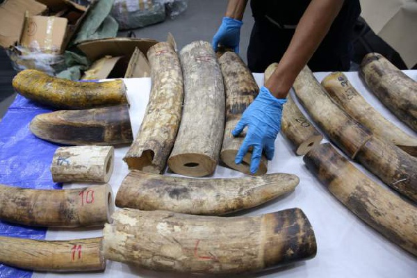 A  Ugandan national has been arrested in Kenya for allegedly smuggling ivory