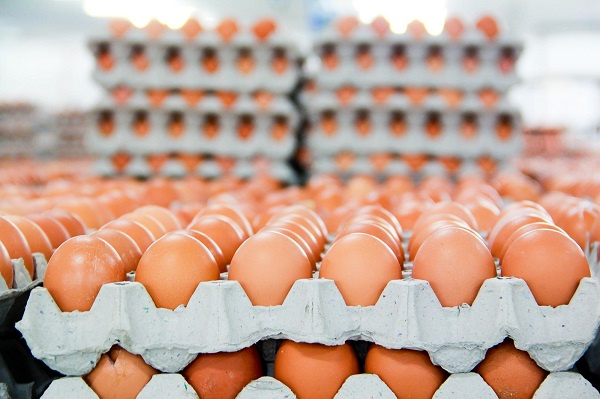 Price of eggs to increase from May 2