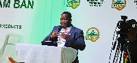 Prof Michael Ayamga-Adongo is the deputy CEO of EPA