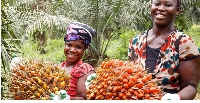 Palm oil production in Tanzania is set for a major boost