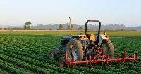 SMEs in the agricultural sector have urged government to provide subsidises for agricultural imports