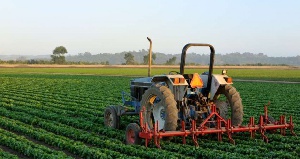 SMEs in the agricultural sector have urged government to provide subsidises for agricultural imports