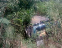 The bus somersaulted several times before landing in a bush