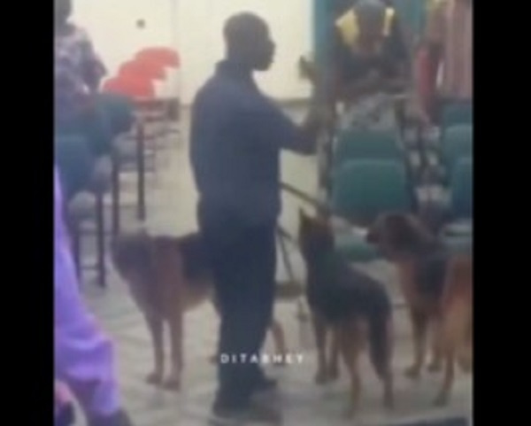 Man with his dogs in a churh to warn them about the noise they make during service
