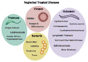 Neglected Tropical Diseases  are the cause substantial illness for more than 1.7 billion people