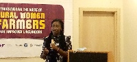 Dr Priscilla Twumasi Baffour, Lecturer, University of Ghana