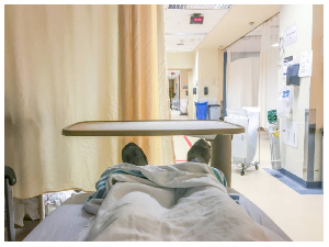 Hospital 1.1