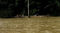 River Ankobra