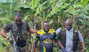 Screenshot from a video of the arrest