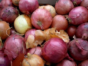 Onions Fresh
