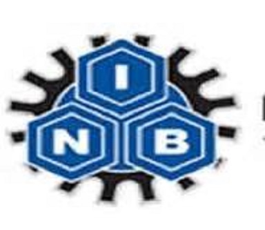 National Investment Bank (NIB)