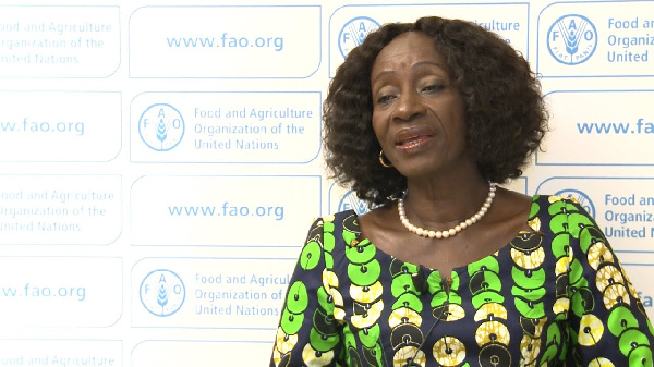Former Minister for Fisheries and Aquaculture, Hanny Sherry Ayittey