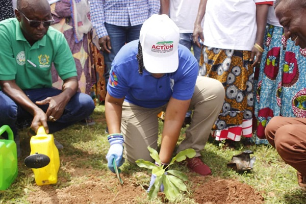 The planting of the grafted shea seedlings in Tamale