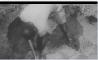 A screenshot of the footage