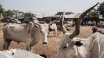 Canada bans Texas cattle over flesh-eating screwworm outbreak in US