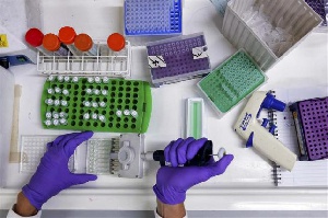 A Scientist Prepares Samples For Analysis In A Laboratory. Reuters