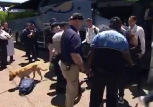 US Airport security used dogs to search Uzbekistan upon arrival