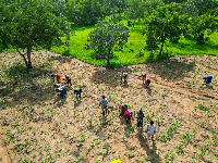 Farmers working on their fields