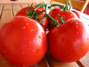 Tomatoes 2