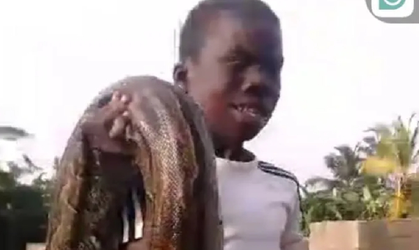 Snake slayer Kwame Junior - Photo credit: GNA