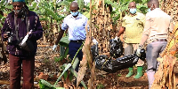 Police detectives  carrying the two bodies of the murdered children after they were exhumed from a p