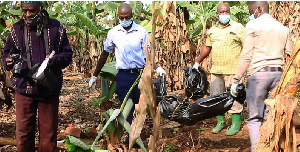 Police detectives carrying the two bodies of the murdered children after they were exhumed from a p