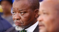 Gwede Mantashe is critical of South Africans who wish to