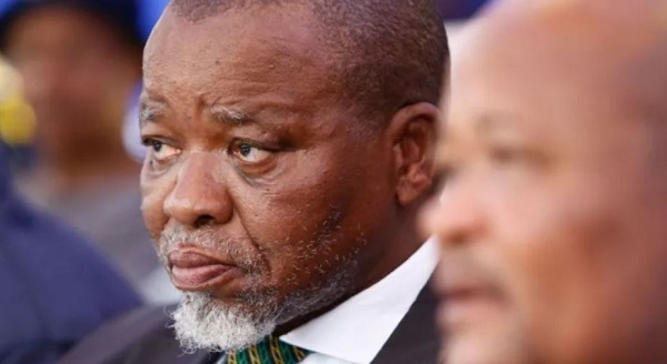 Gwede Mantashe is critical of South Africans who wish to
