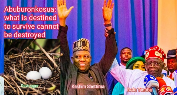 Bola Tinubu and Kashim Shettima