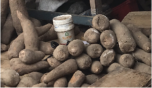 The farmers are appealing to the government and stakeholders for urgent intervention