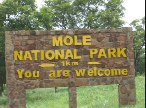 Mole Wildlife New   