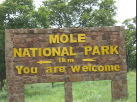 The Mole wildlife officer was found dead with gunshot injuries