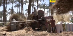 Egyptian farmers struggling to survive as Iran war pushes up costs