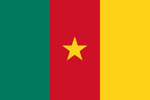 Cameroon Flag Election