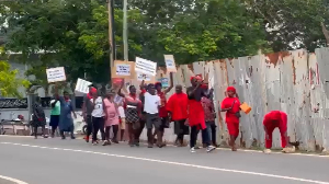 Some of the agitated members