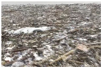 Laboma Beach covered by plastic waste after devastating Accra floods