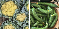 When the heat shapes the harvest