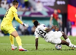 2022 World Cup: Inaki Williams' late slip resembles Dion Dublin's strike against Newcastle