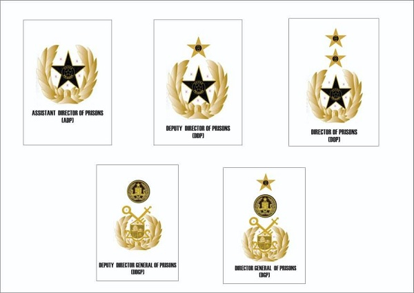 The new ranks have been added to the Ghana Prisons Service