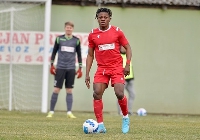 Sadick Abubakar was sent off for Radnik as they suffered a 2-1 defeat to Novi Pazar