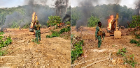 File photo of security officers burning excavators being used for illegal mining