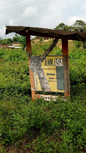 Visit to Ankasa Conservation Area by tourists has declined due the poor road network
