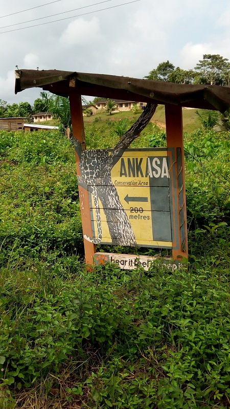 Visit to Ankasa Conservation Area by tourists has declined due the poor road network