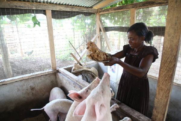Doris Assampong says meat has market in all seasons