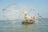 The fishing industry accounts for over US$500million into the economy every year