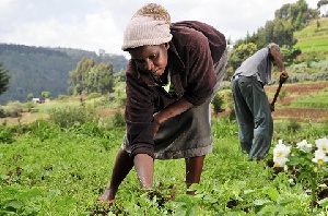 A woman is seen tending to the soil on a farm