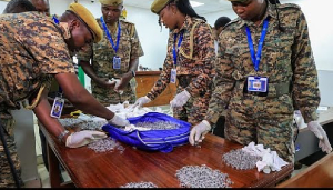 Kenyan wildlife officers sort live queen garden ants being exhibited in court