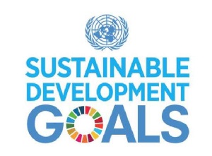 We need to promote and attain the sustainable development goals