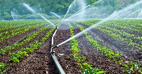 The World Bank noted Ghana possesses substantial irrigation potential