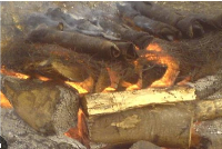 Popular Ghanaian delicacy 'wele' being burnt on fire